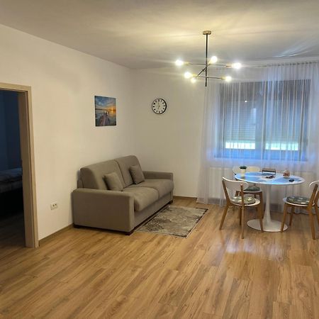 Emanuela Apartments Pecica エクステリア 写真