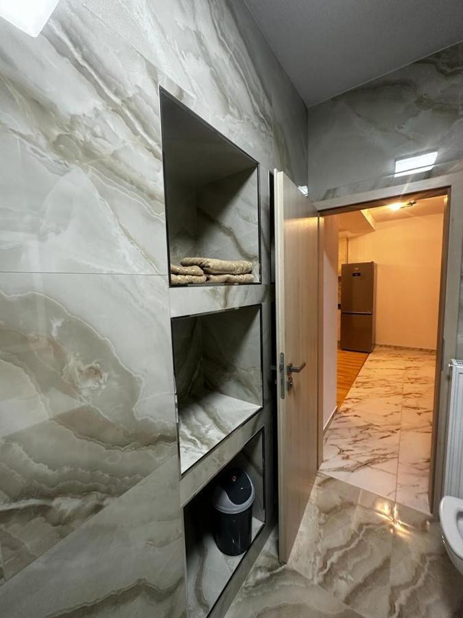 Emanuela Apartments Pecica エクステリア 写真