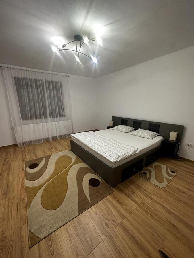 Emanuela Apartments Pecica エクステリア 写真