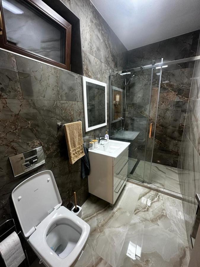 Emanuela Apartments Pecica エクステリア 写真