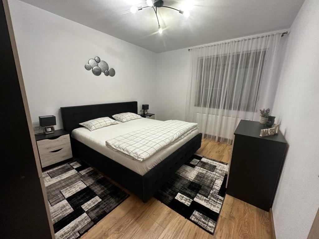 Emanuela Apartments Pecica エクステリア 写真