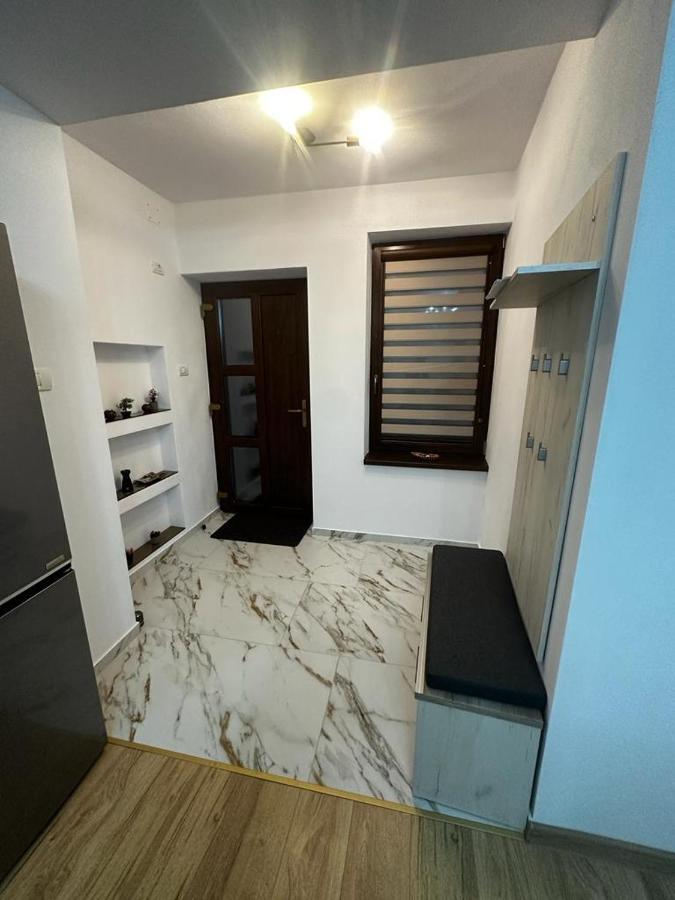 Emanuela Apartments Pecica エクステリア 写真