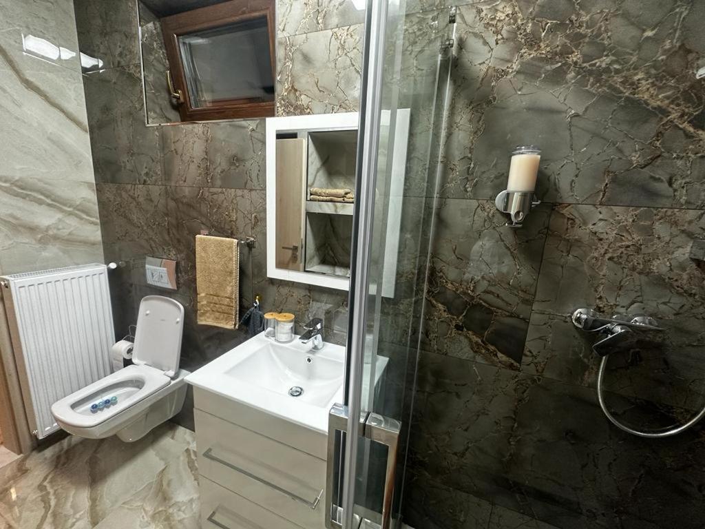 Emanuela Apartments Pecica エクステリア 写真
